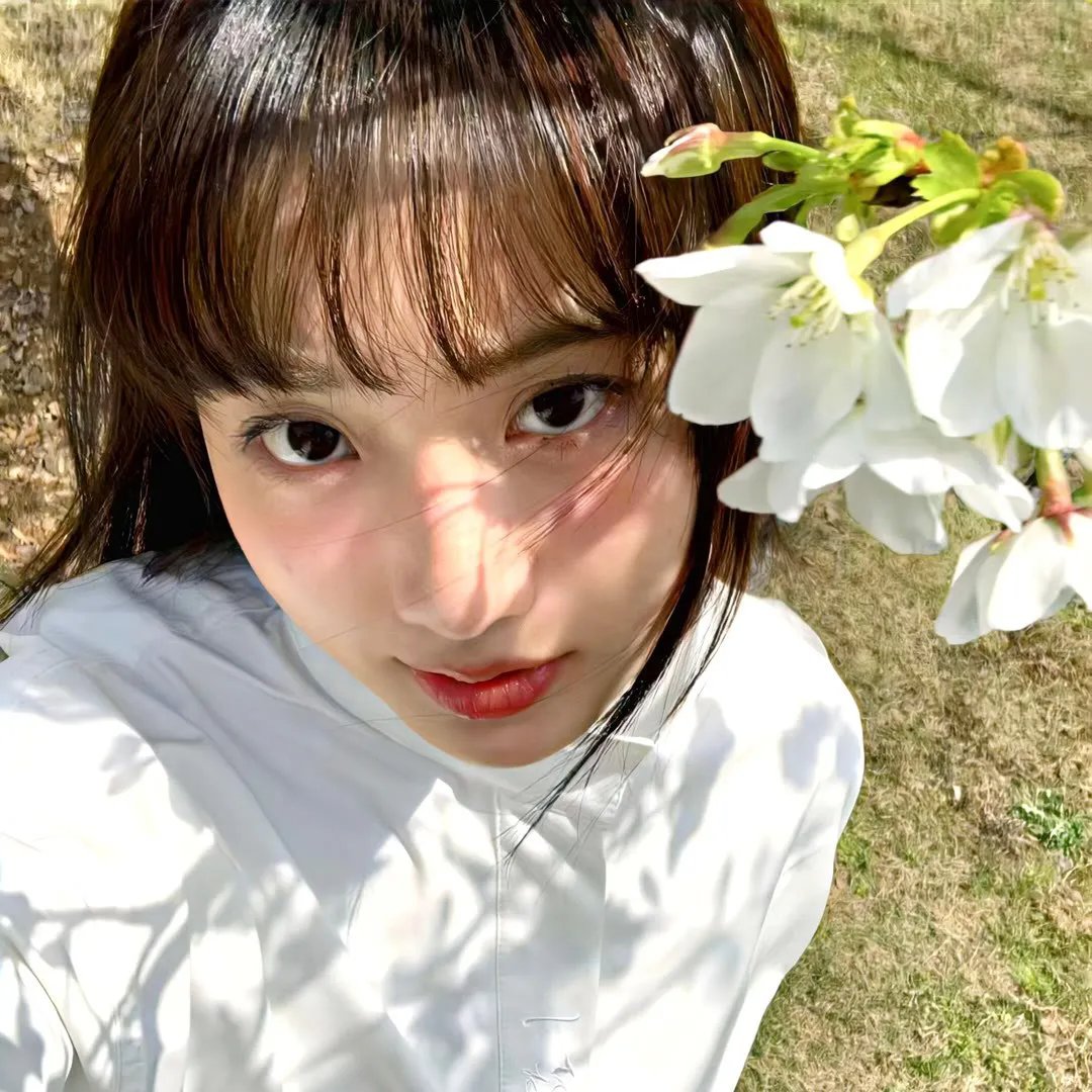十分花少